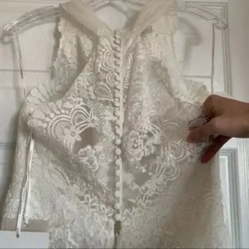 Pronovias Draconia Wedding Dress - Picture 13 of 13